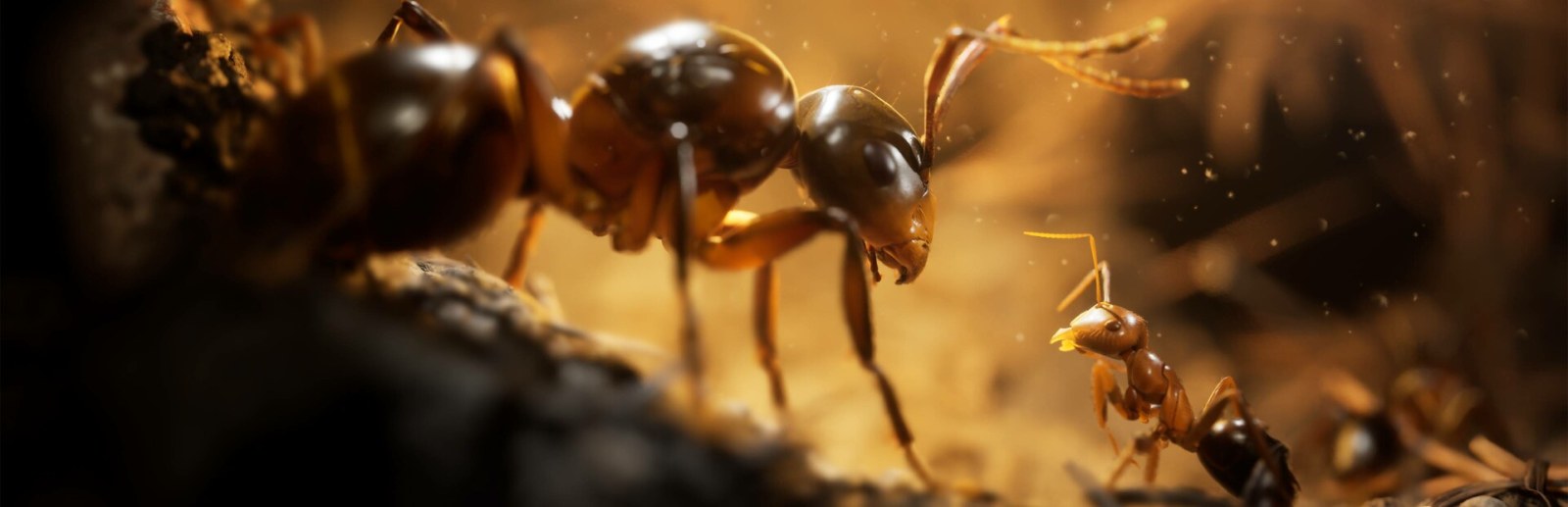 Empire of the Ants PC Steam Account