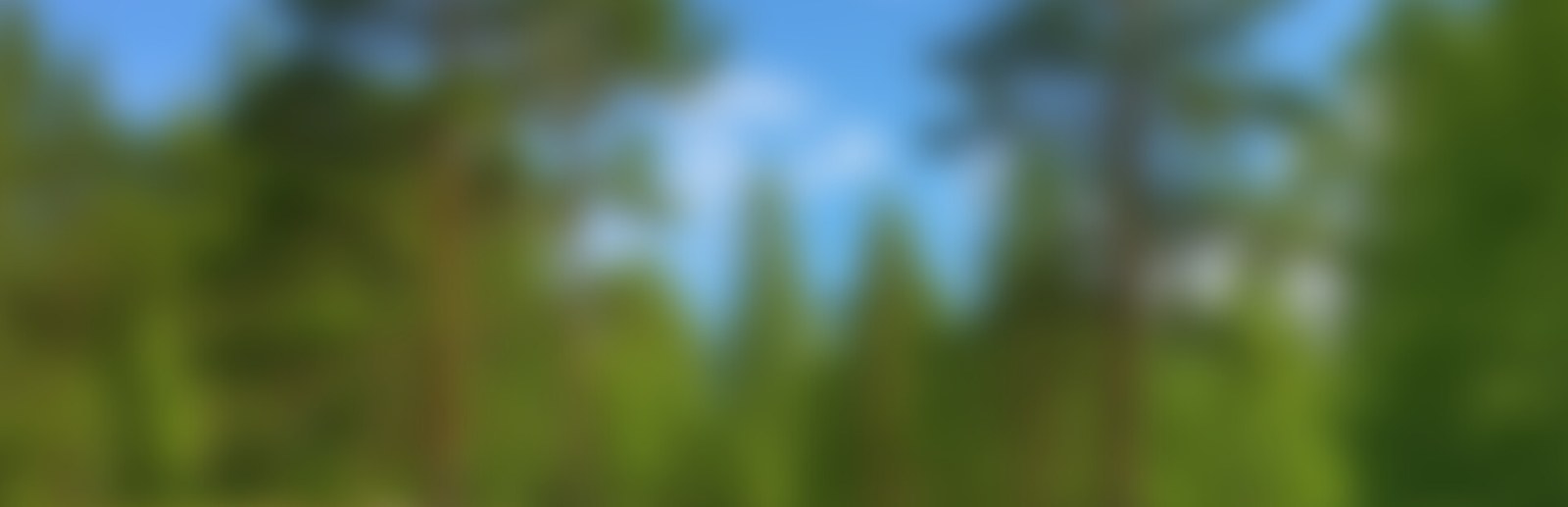 Bakery Cafe Simulator PC Steam Account